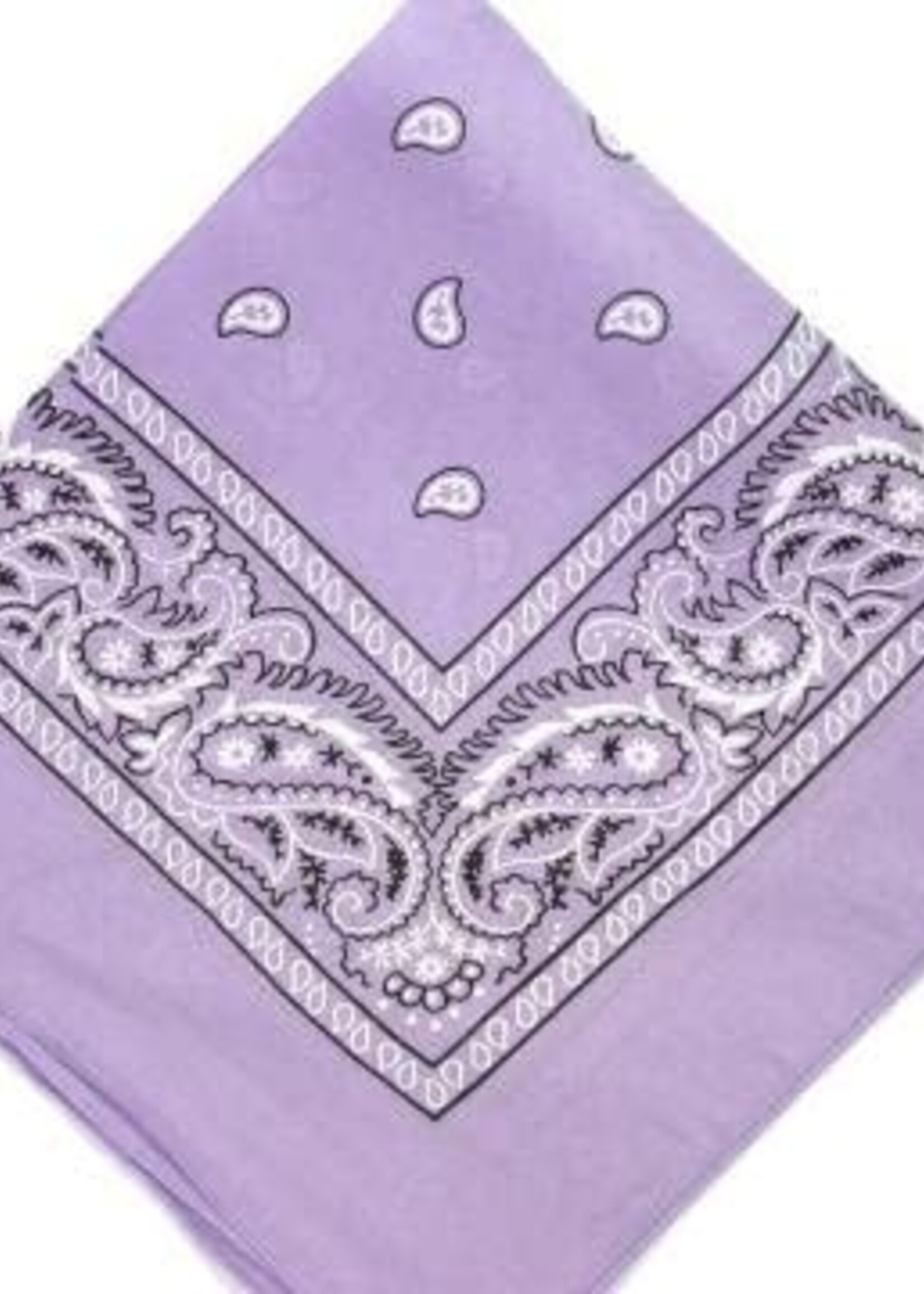 Bandana Paisley Patterned Lilac