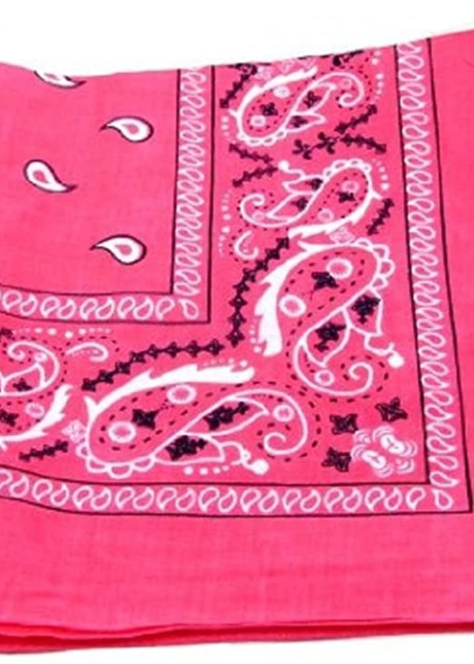 Bandana Paisley Patterned Fuchsia