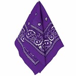 Bandana Paisley Patterned Purple