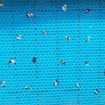 Glitter Stretch Mesh (Silver) Arabian Blue