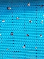 Glitter Stretch Mesh (Silver) Arabian Blue