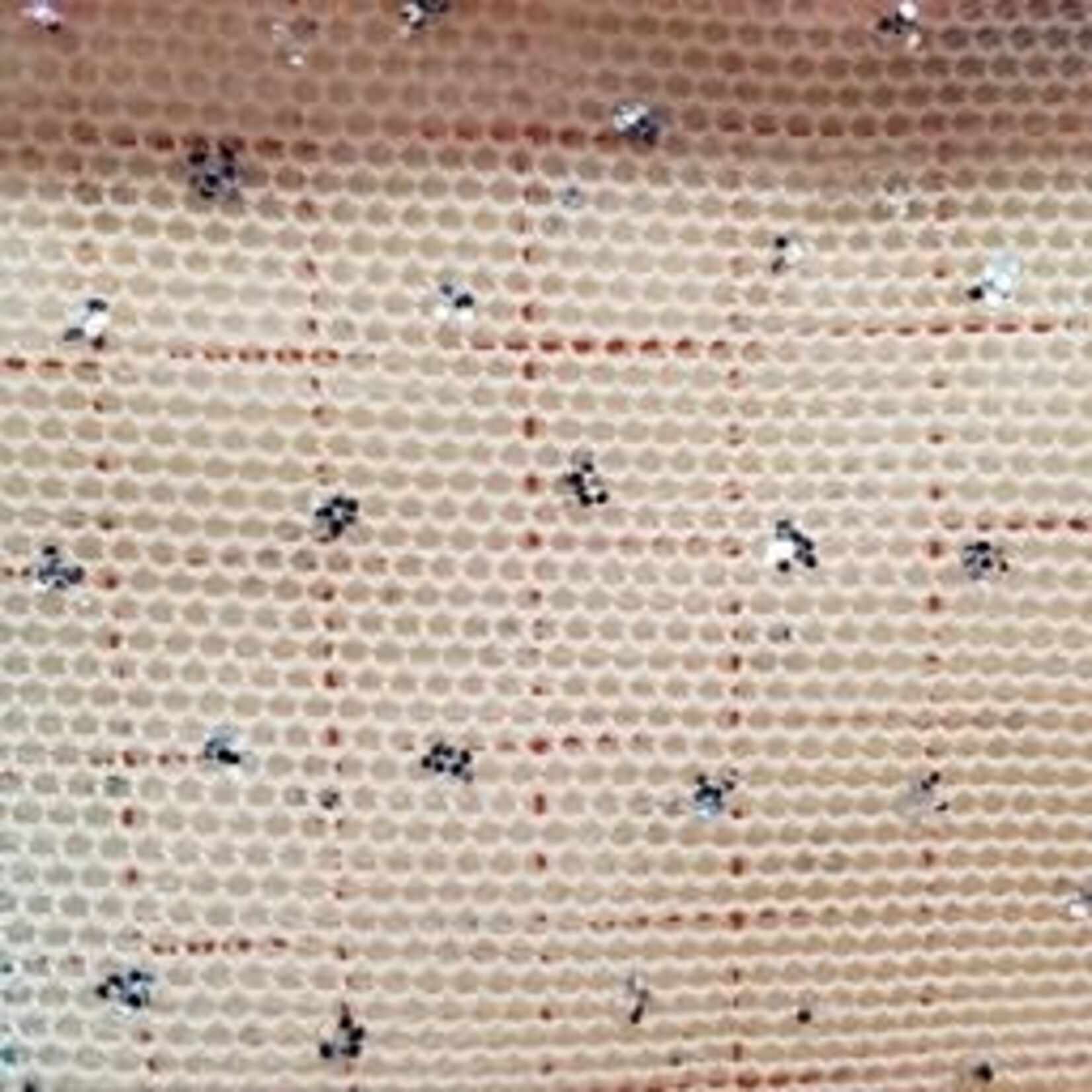 Glitter Stretch Mesh (Silver) Beige