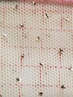 Glitter Stretch Mesh (Gold) Beige