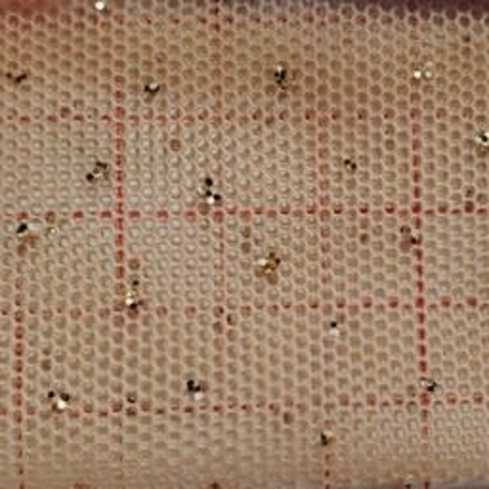 Glitter Stretch Mesh (Gold) Mocha