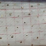 Glitter Stretch Mesh (Gold) Silver