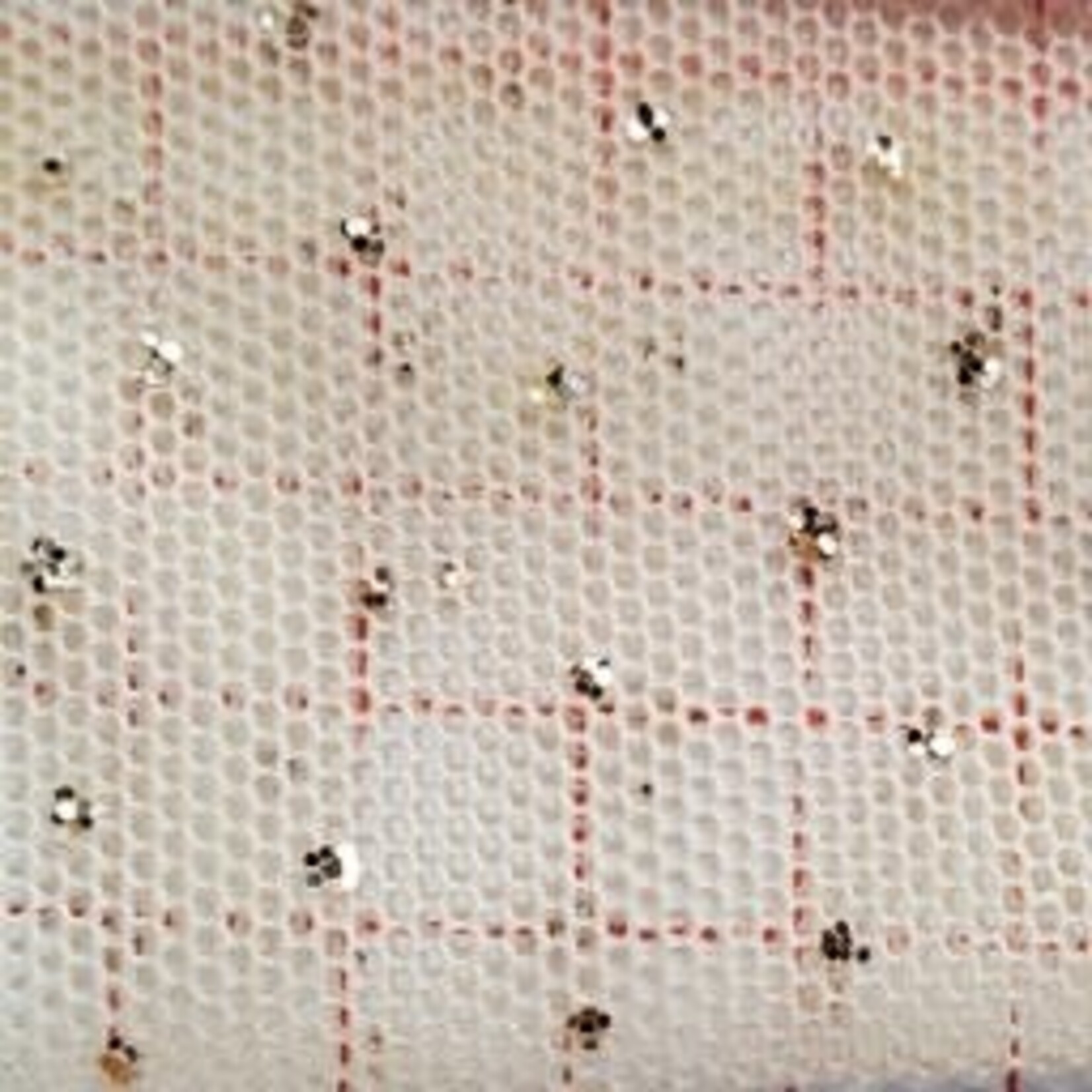 Glitter Stretch Mesh (Gold) White