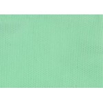 Stretch Mesh Plain  Mint