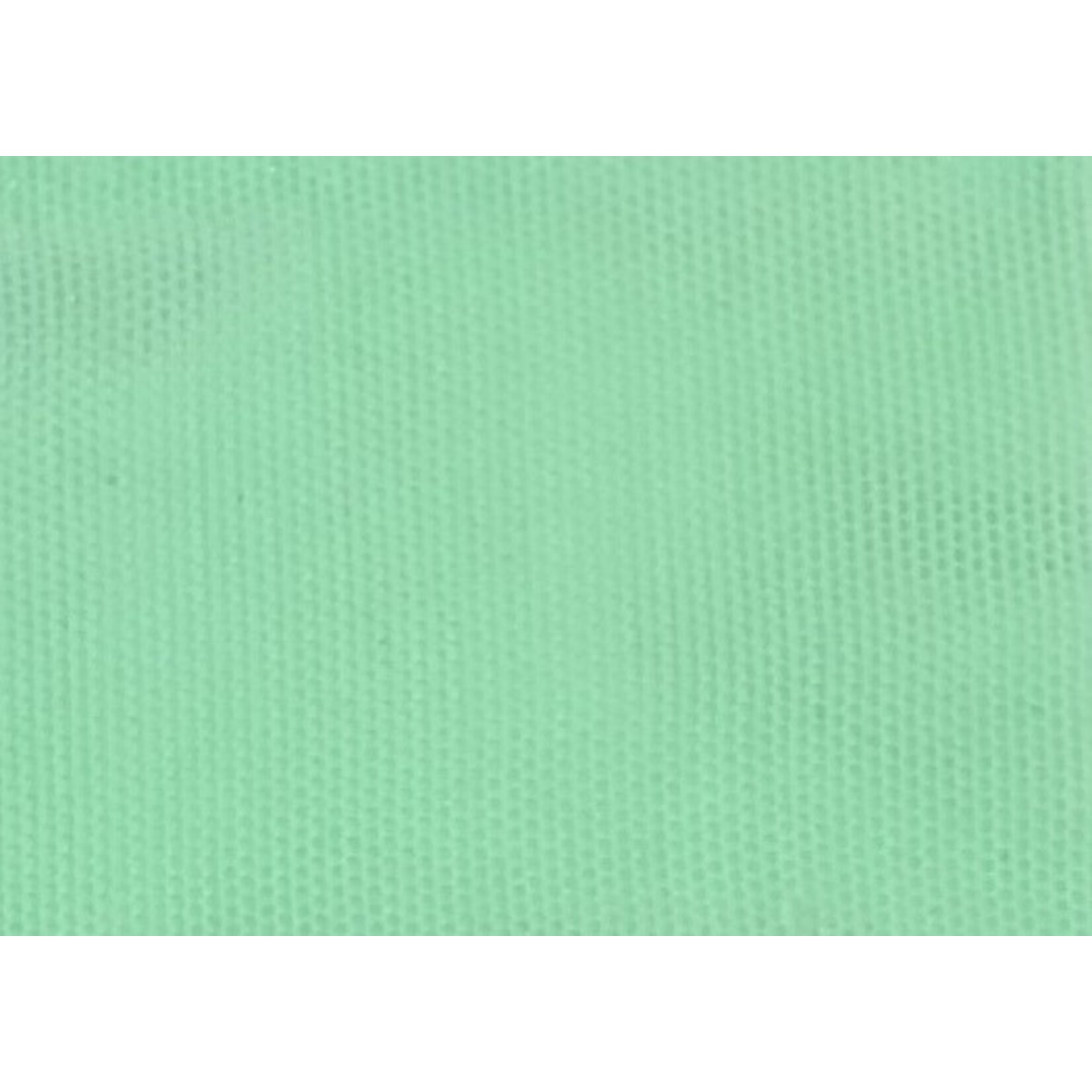 Stretch Mesh Plain  Mint