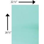 Bristol Board 240 GSM 22.5 x 28.5 Inches Green