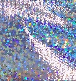 Tricot Lame Sparkle/Dots 45 Inches Silver