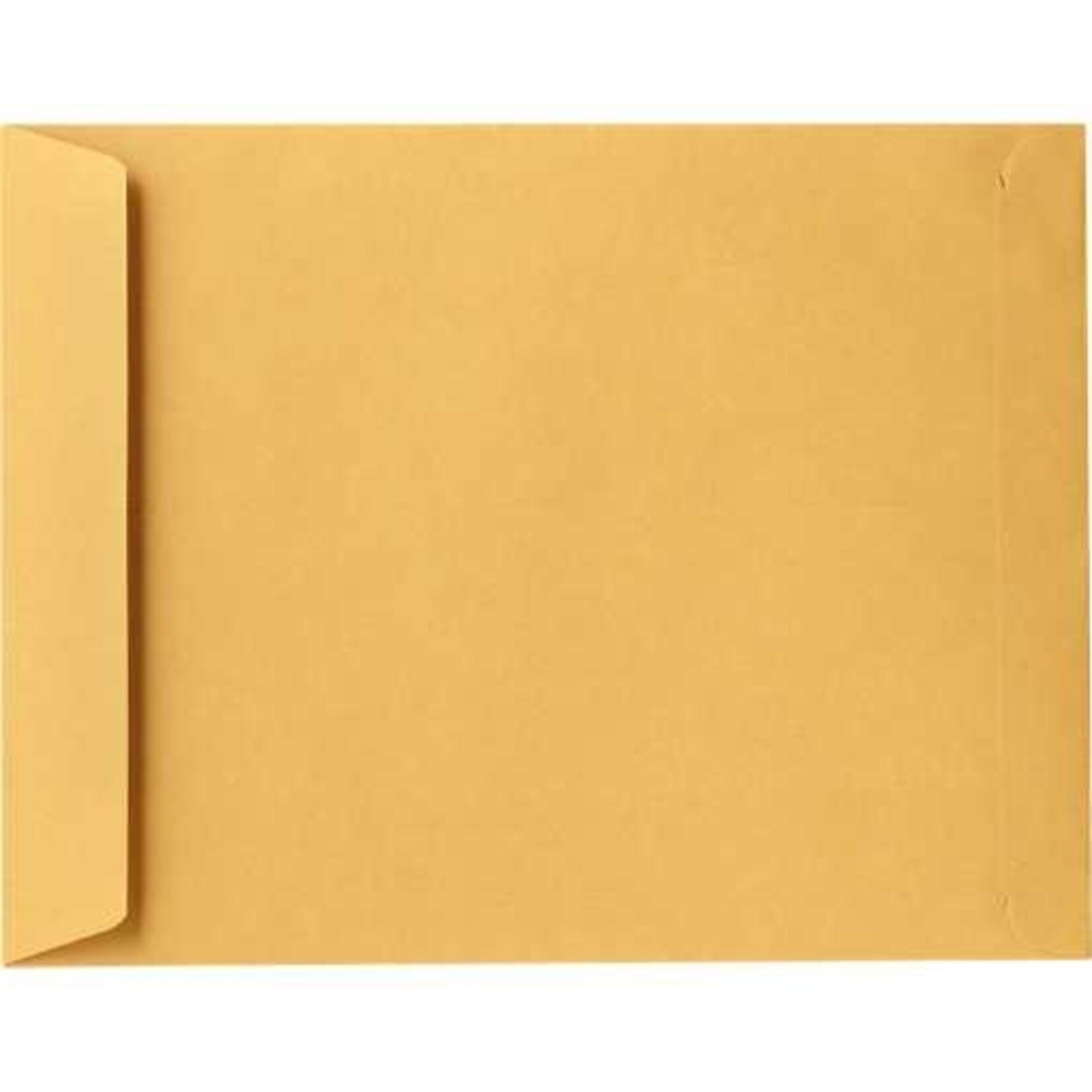 Peel & Seal Kraft Envelopes 9" x 12" 5/Pk