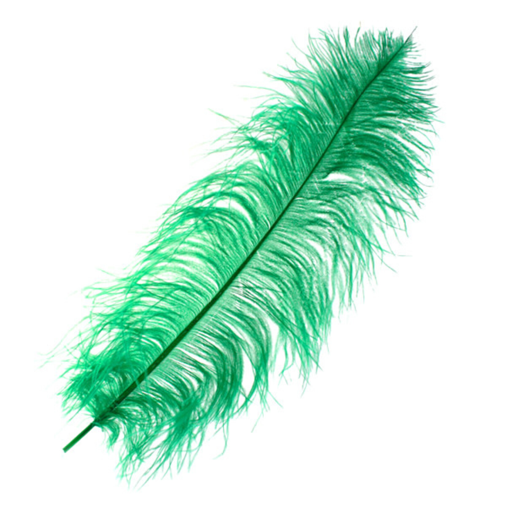 Premium Plumes 21-24 Inch Kelly