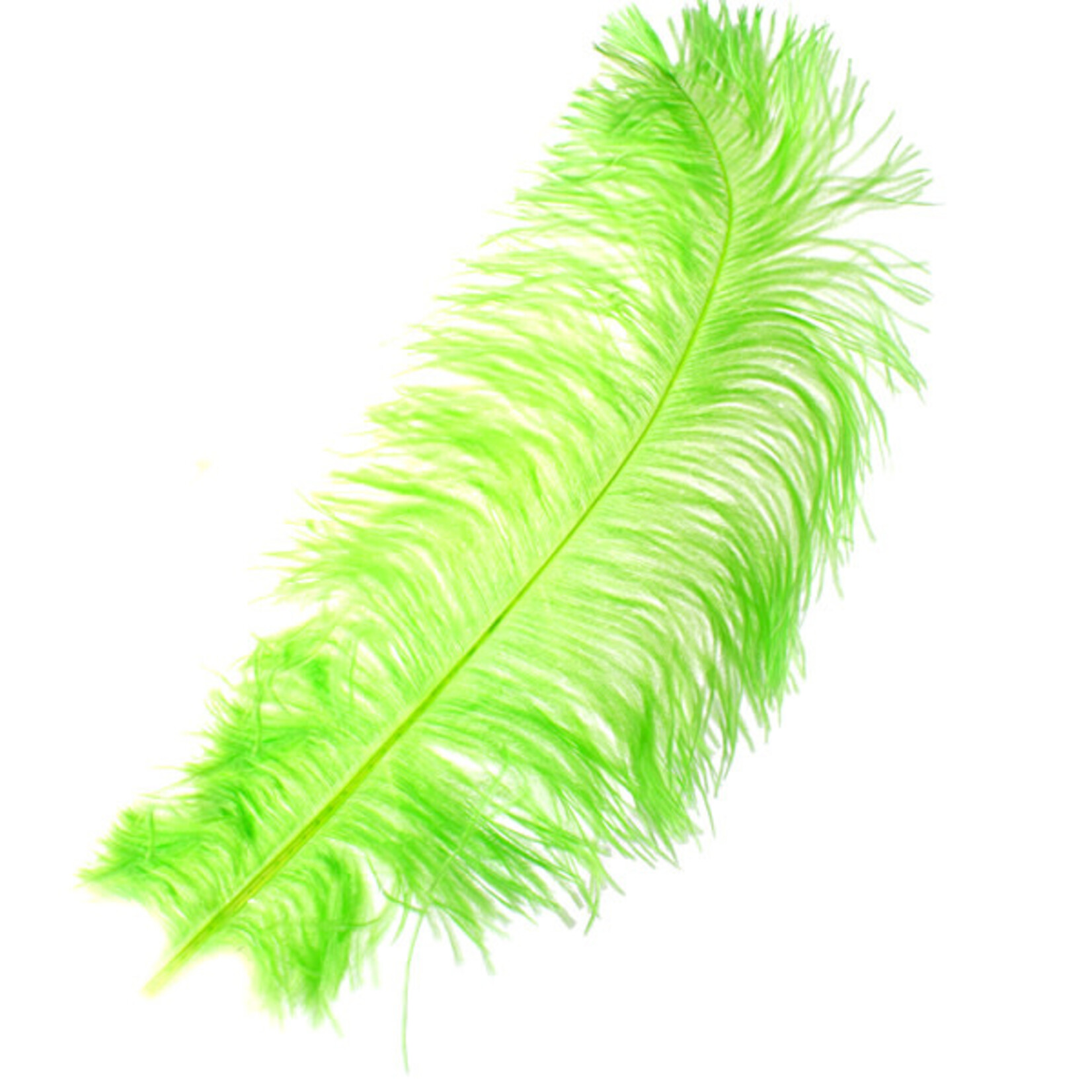 Premium Plumes 21-24 Inch Lime Green