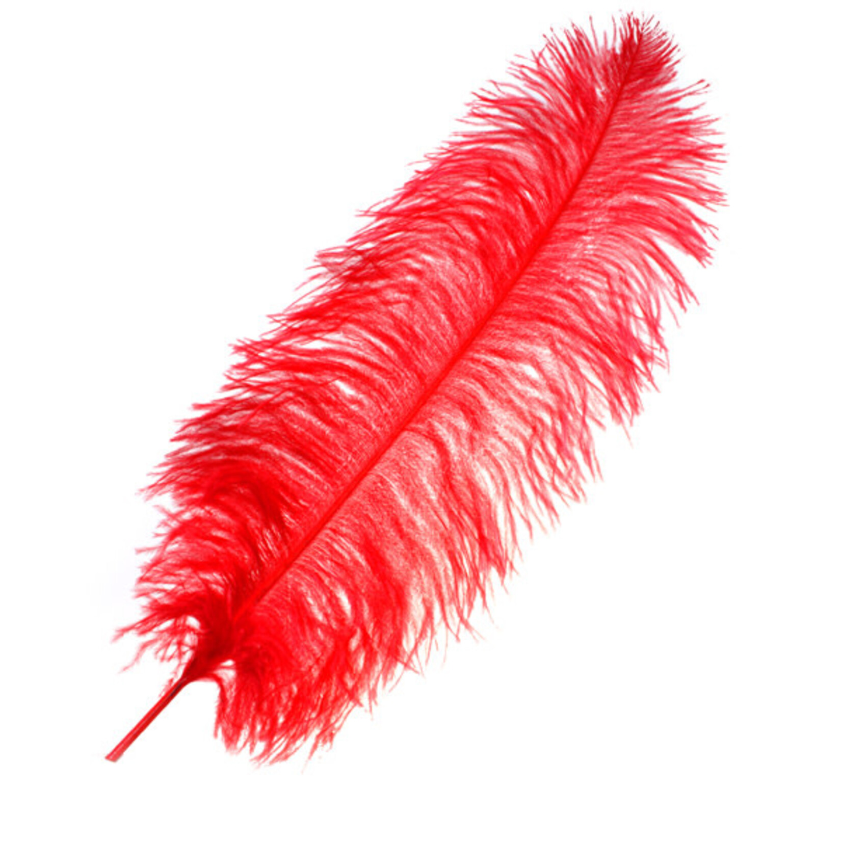 Premium Plumes 21-24 Inch Red