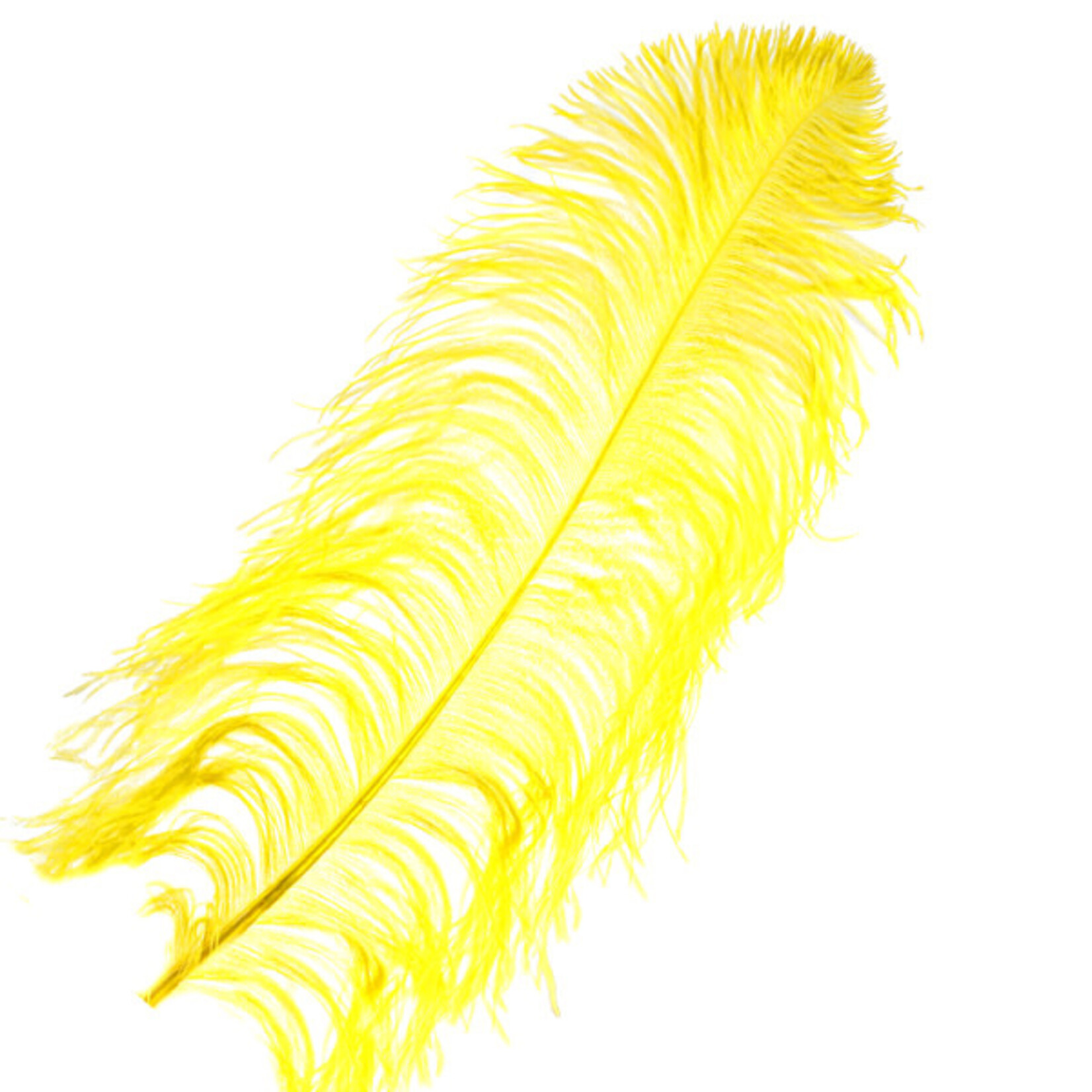 Premium Plumes 21-24 Inch Canary Yellow