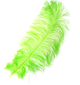 Premium Plumes 18-21 Inch Lime Green