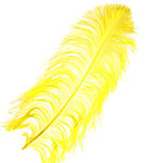 Premium Plumes 18-21 Inch Canary Yellow