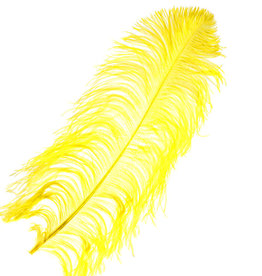 Premium Plumes 18-21 Inch Canary Yellow