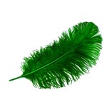 Premium Plumes 18-21 Inch Emerald Green