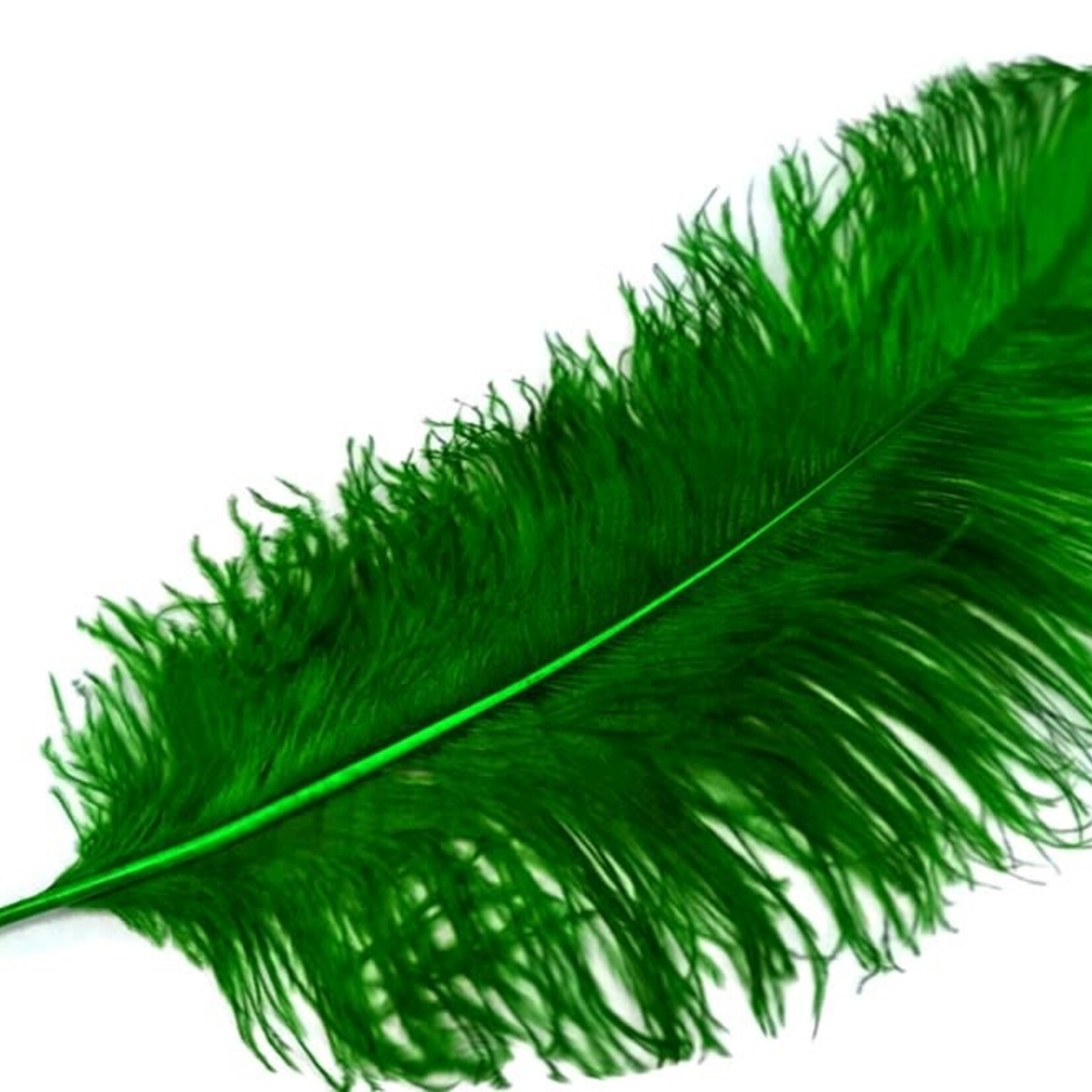 Premium Plumes 18-21 Inch Emerald Green