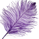 O.D Plumes 11-13 Inch Purple