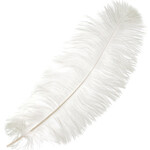 O.D Plumes 11-13 Inch White