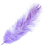 O.D Plumes 11-13 Inch Violet