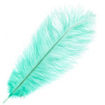 O.D Plumes 11-13 Inch Jade