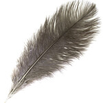 O.D Plumes 11-13 Inch Natural