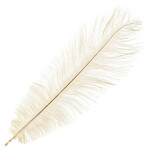 O.D Plumes 11-13 Inch Beige