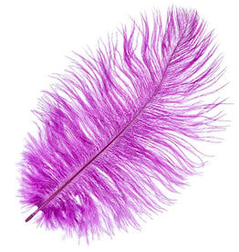 O.D Plumes 11-13 Inch Plum