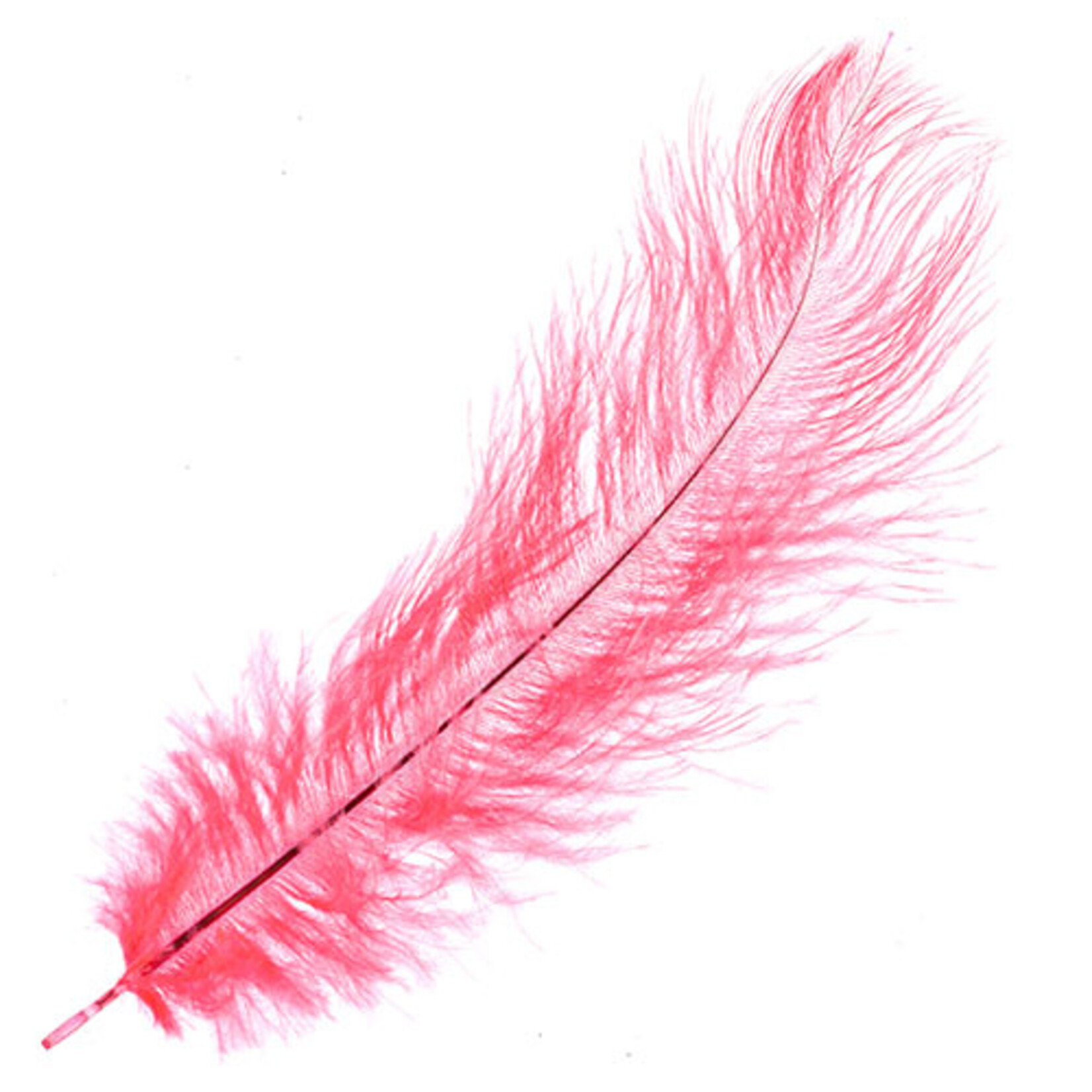 O.D Plumes 11-13 Inch Dark Coral