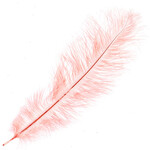 O.D Plumes 11-13 Inch Coral