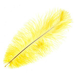 O.D Plumes 11-13 Inch Lemon