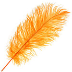 O.D Plumes 11-13 Inch Golden Yellow