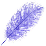 O.D Plumes 11-13 Inch Lilac