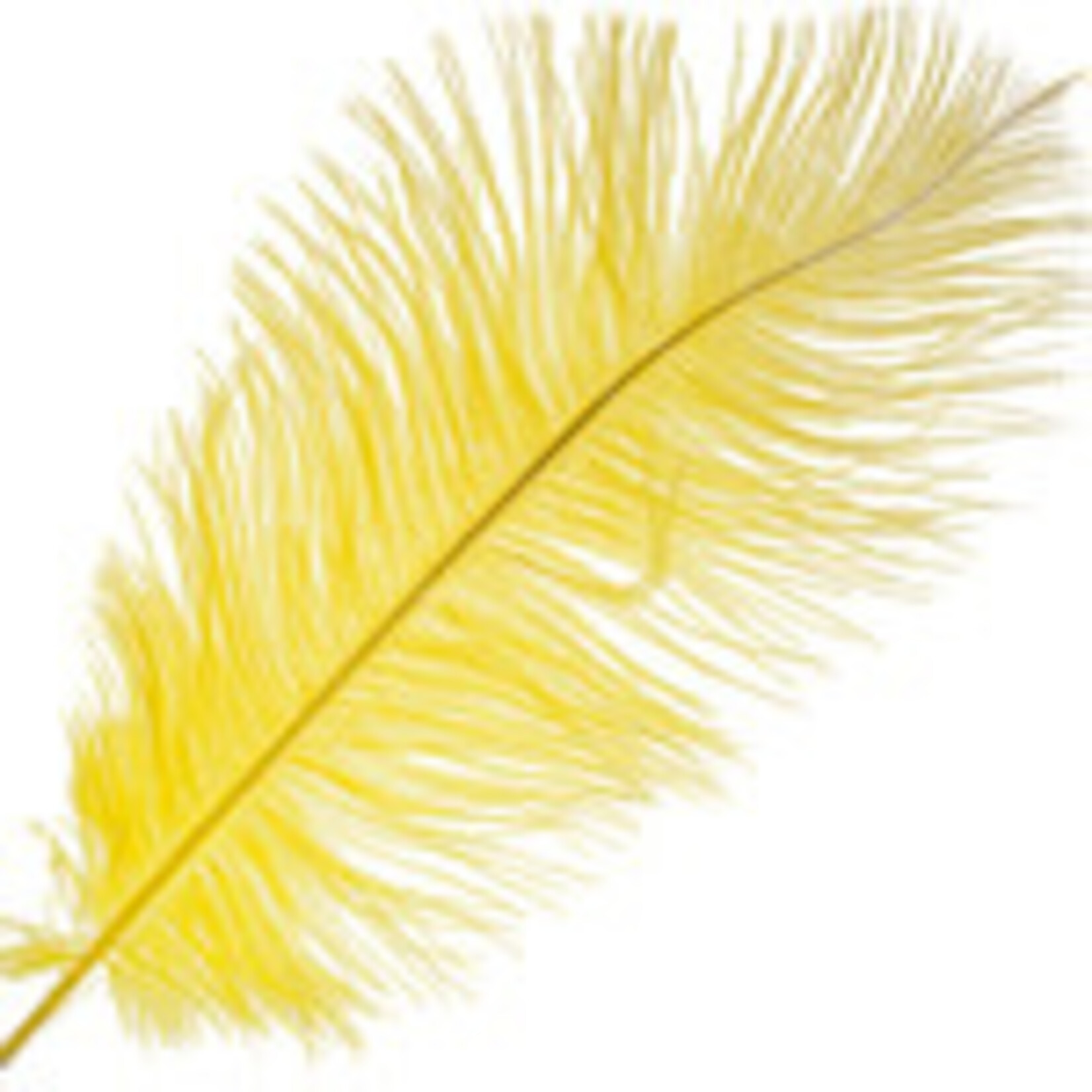 O.D Plumes 11-13 Inch Canary Yellow