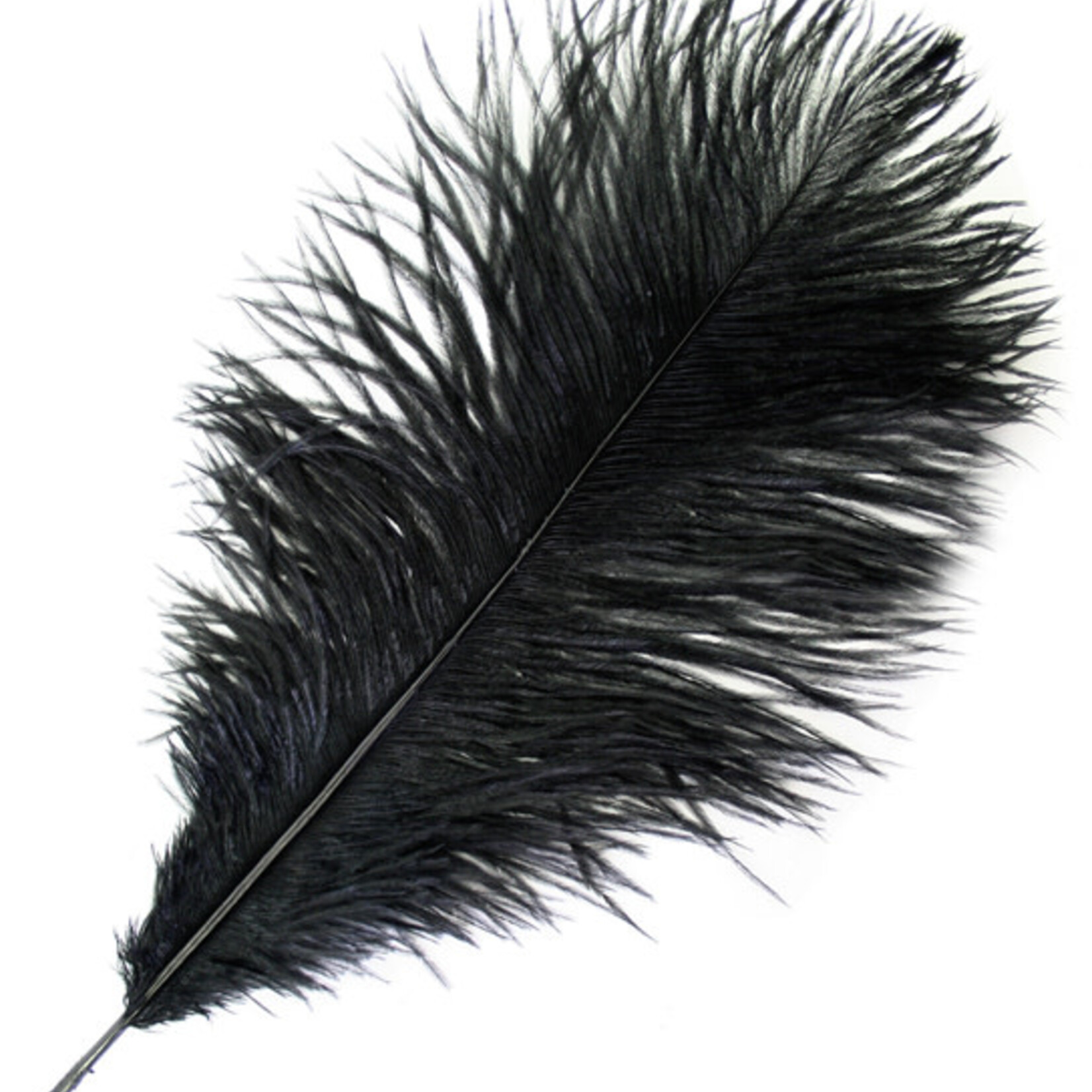 O.D Plumes 11-13 Inch Black