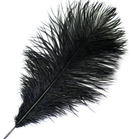 O.D Plumes 11-13 Inch Black