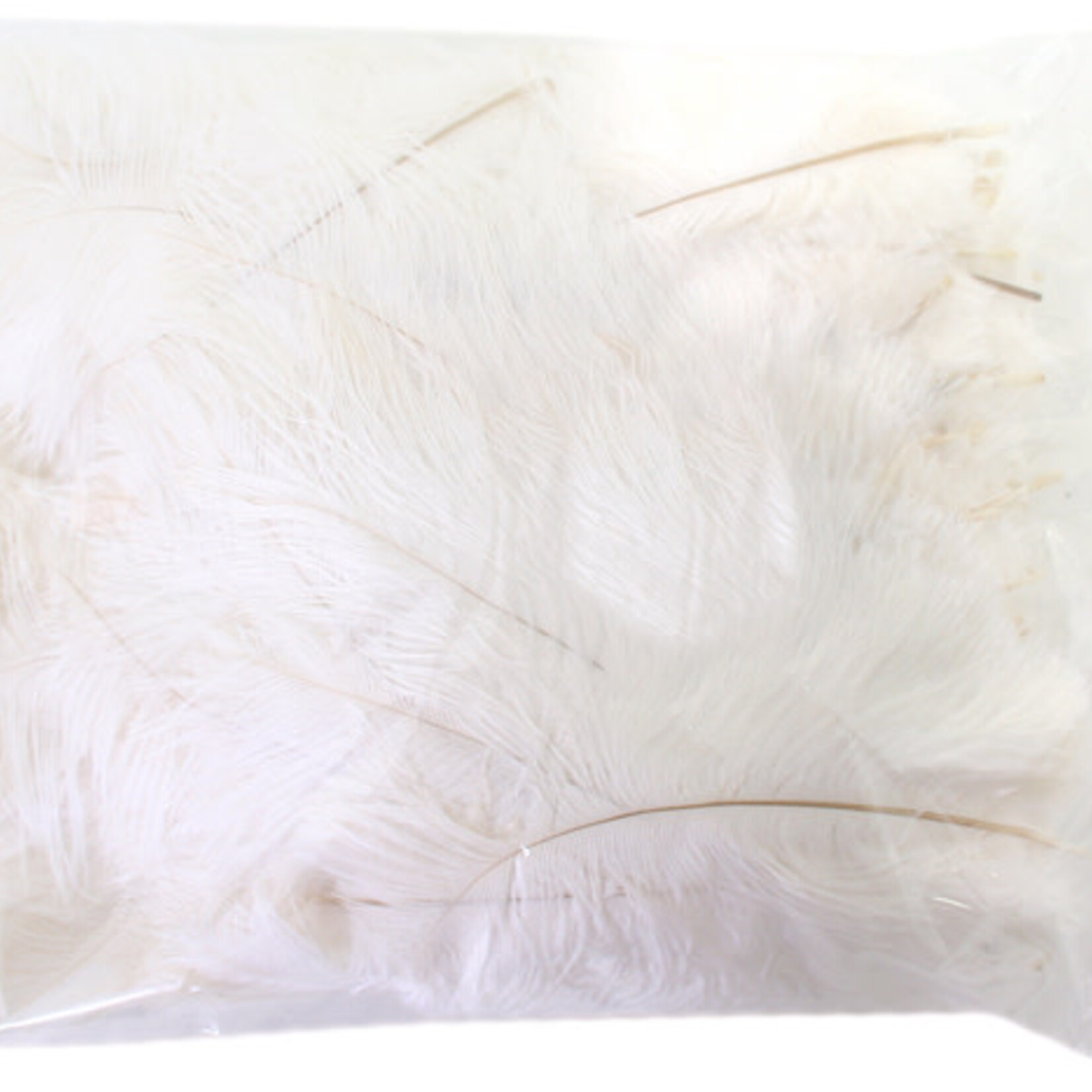O.D Plumes 6-8 Inch (100 grams) White