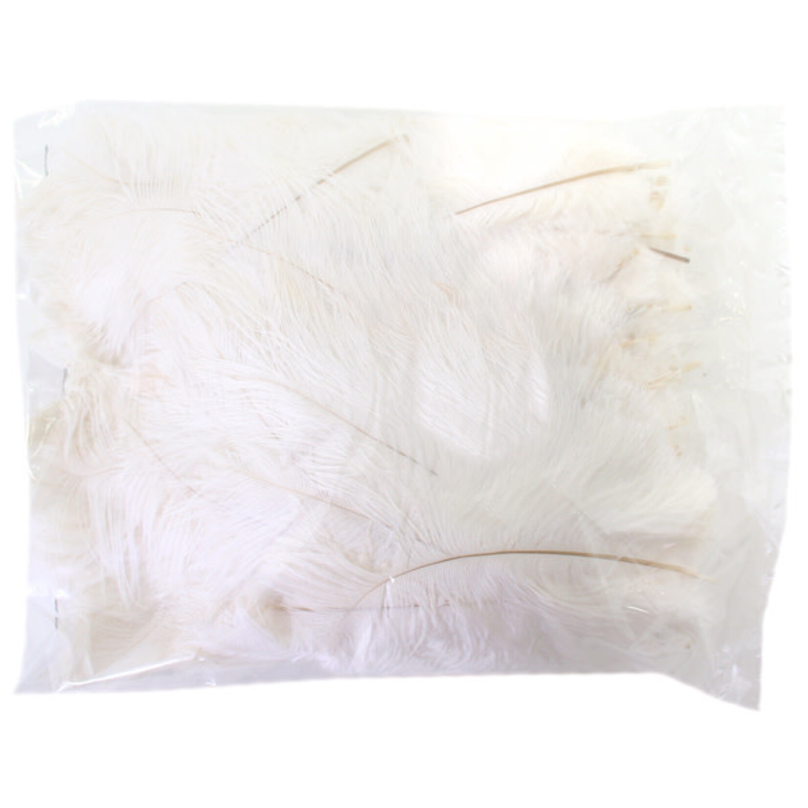 O.D Plumes 6-8 Inch (100 grams) White