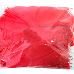 O.D Plumes 6-8 Inch (100 grams) Red