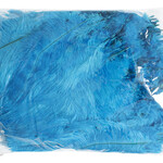 O.D Plumes 6-8 Inch (100 grams) Turquoise