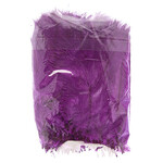 O.D Plumes 6-8 Inch (100 grams) Plum