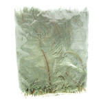 O.D Plumes 6-8 Inch (100 grams) Seafoam