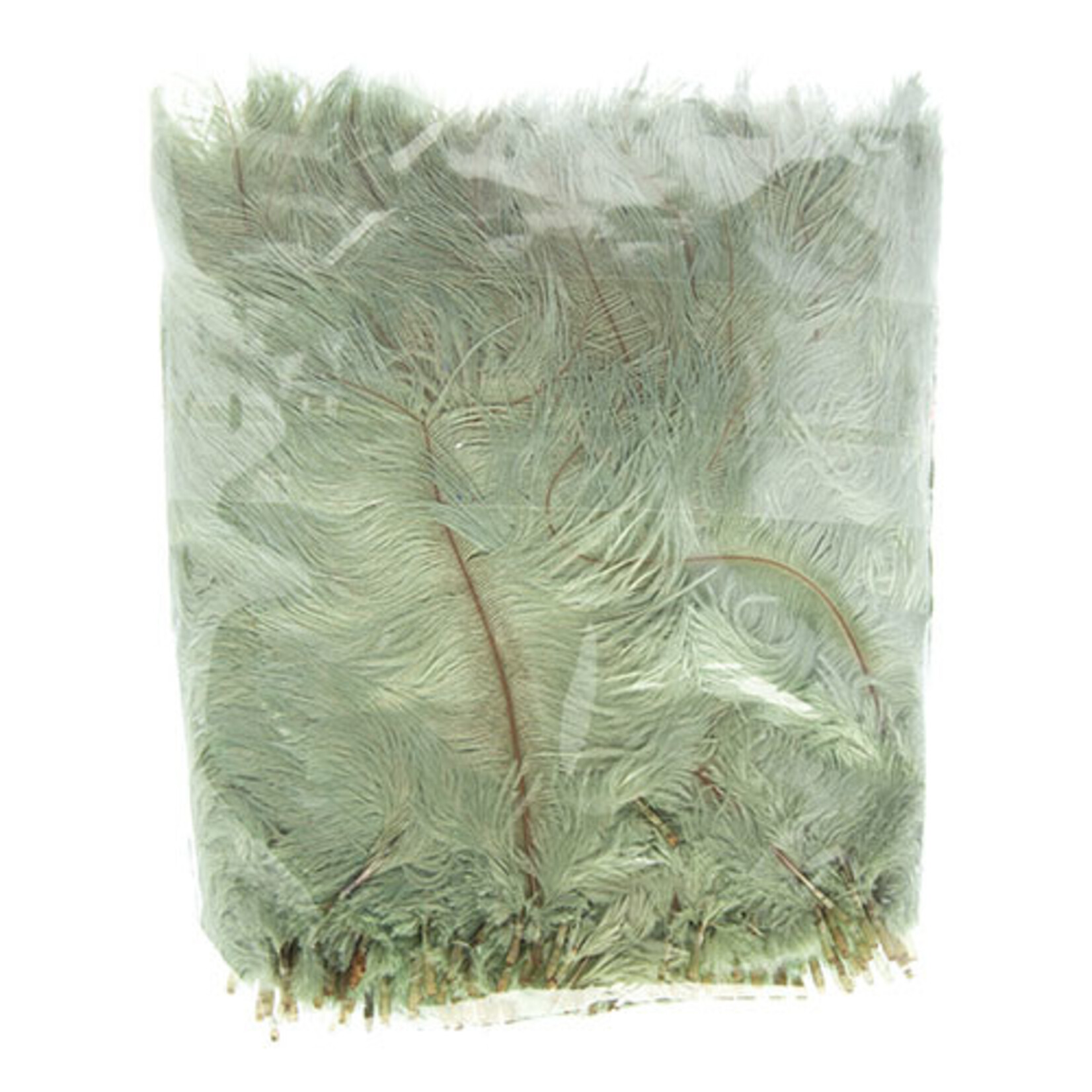 O.D Plumes 6-8 Inch (100 grams) Seafoam