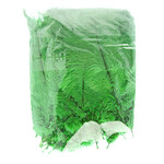 O.D Plumes 6-8 Inch (100 grams) Kelly