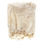 O.D Plumes 6-8 Inch (100 grams) Beige