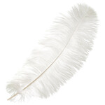 O.D Plumes 14-16 Inch White