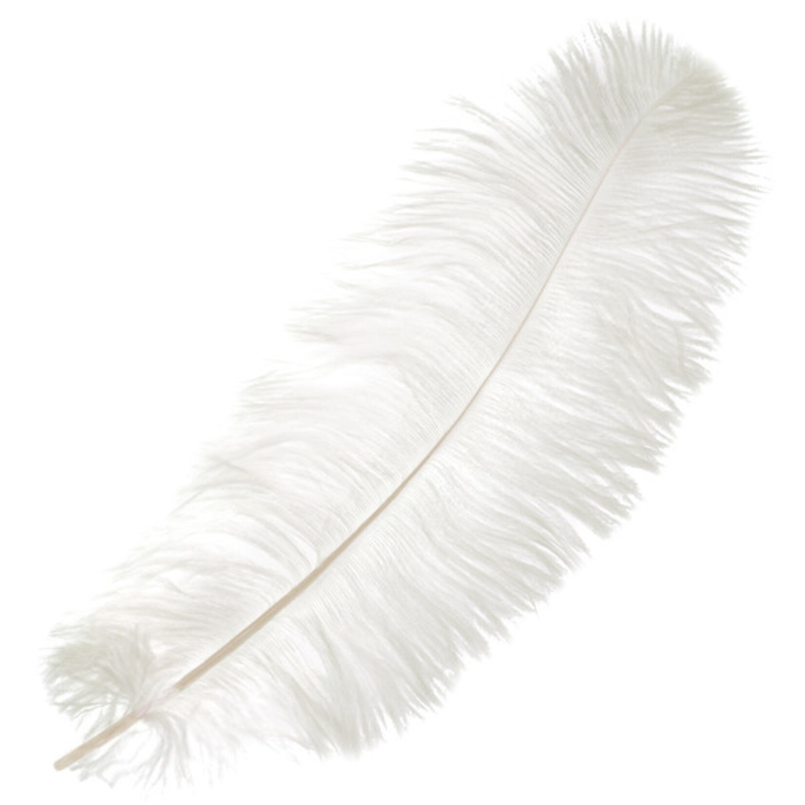 O.D Plumes 14-16 Inch White